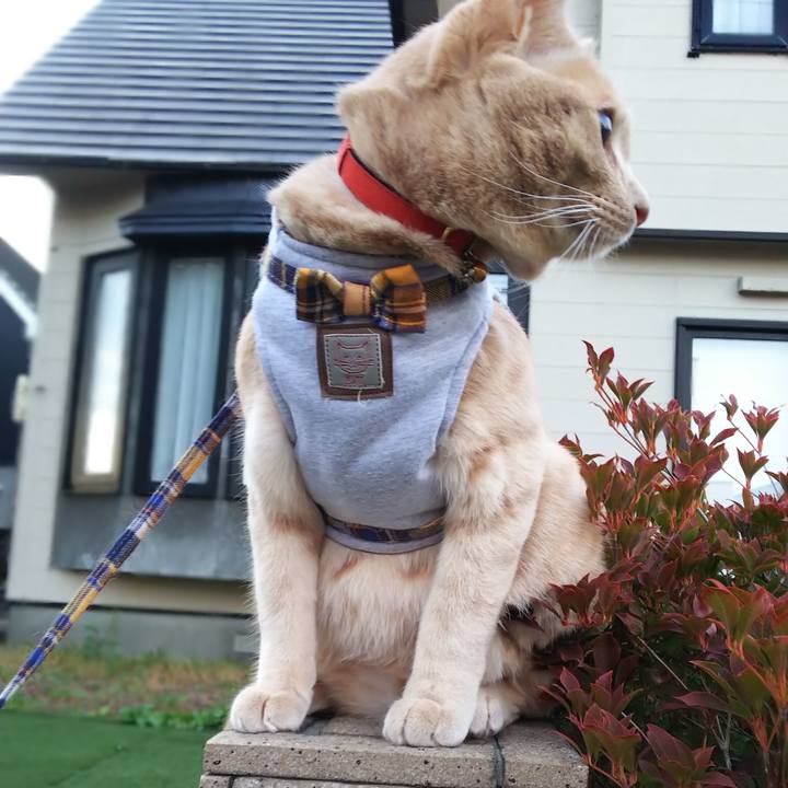 B8de3ad9 d619 4014 8539 a725873a7750 1569668914260