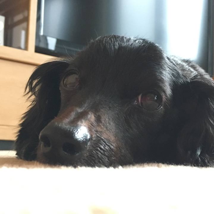 B8de3da9 cbc3 460c be99 5bbcdbc83c26 1523055092049