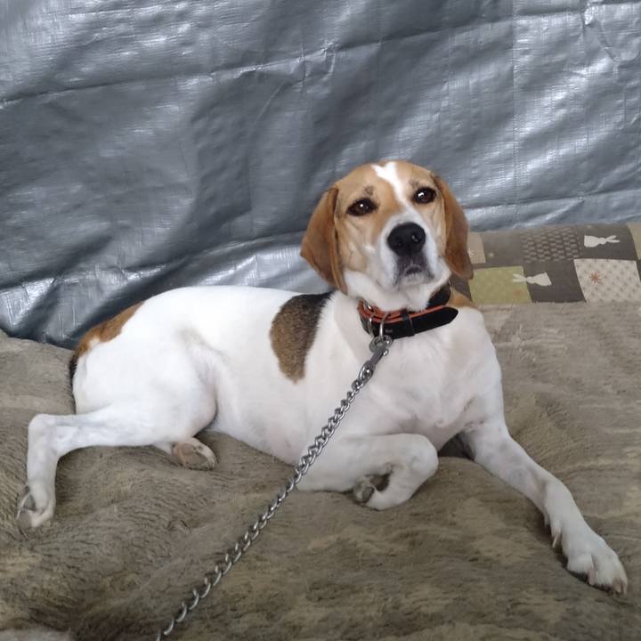 B8de4216 a7ad 464b 8aa2 a178a8134fe2 1631000565979