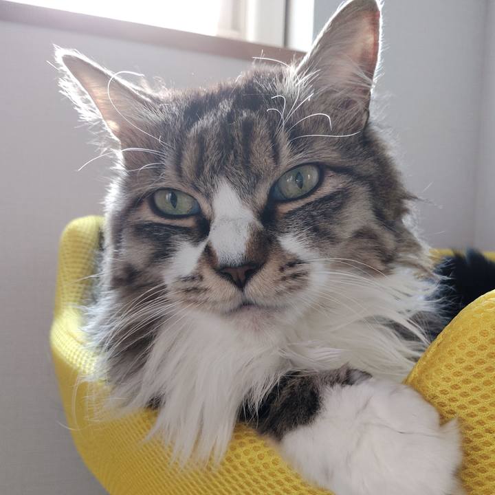 B8de5f48 cbd1 4e2f 92f4 b59025cdd5c5 1773722166445