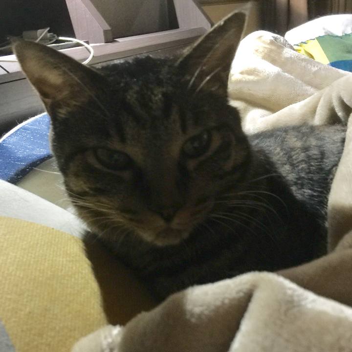 B8de7ef3 87b9 429e a67e e81af83a7b42 1507937105202