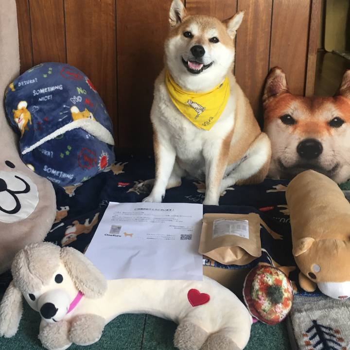 B8ded2b4 a9c0 41bc b219 987ffca34ab5 1622866029603