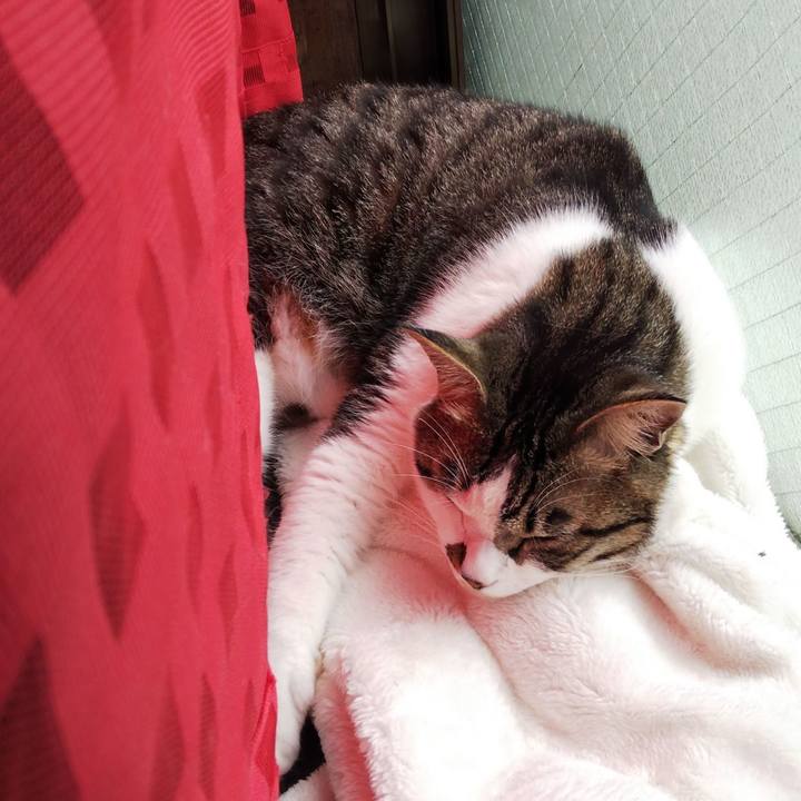 B8dee37e 8671 4acc b0a4 485405fd0931 1651026372385