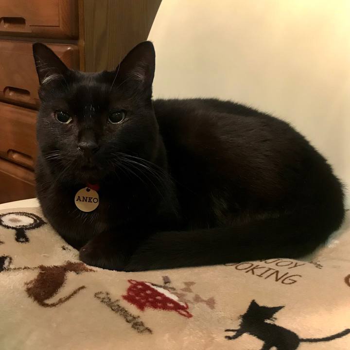 B8defb4f 2759 44ab a1a4 52b6de8ceded 1578585671025