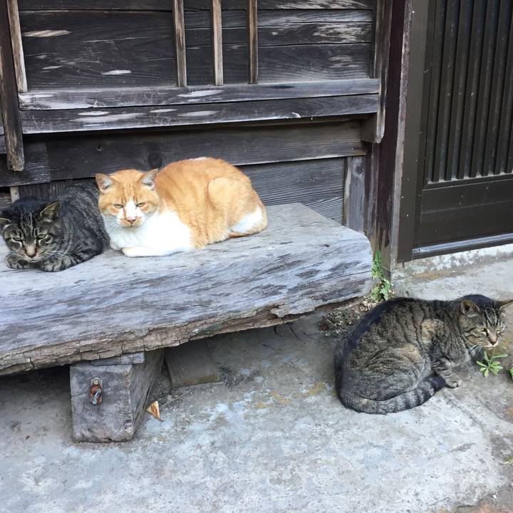 B8df1020 ea60 4ed6 b355 adb826dab5fc 1509749136495