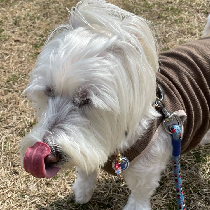 B8df116d 9fc7 4540 b344 316a8cad0906 1699008382665