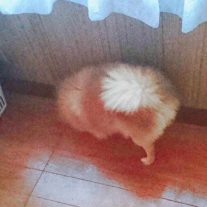 B8df1402 9a1c 485e a158 07ddd1caf305 1516572659310