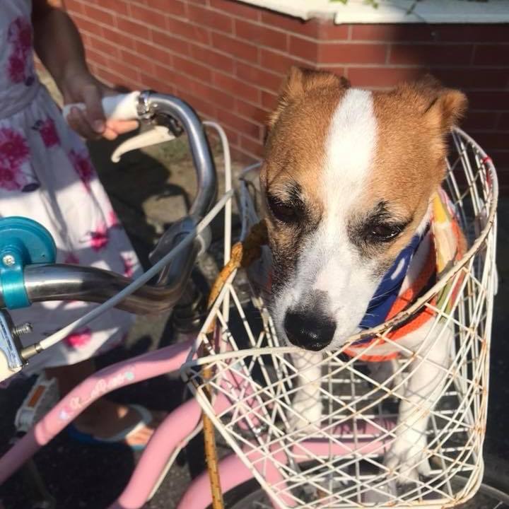 B8df19c1 2b5d 43ac 82f6 7e9c21e6df67 1659435783810