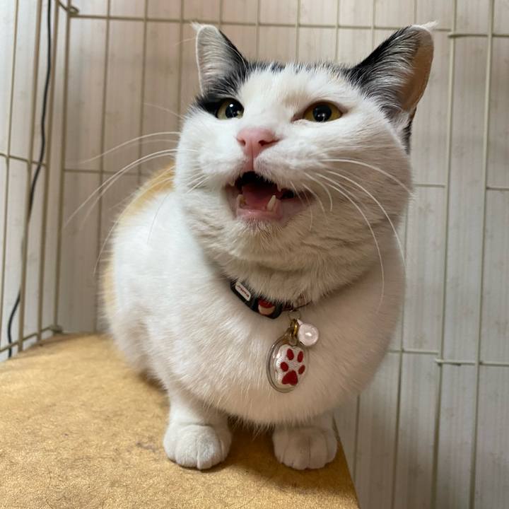 B8df1f82 ab45 40ed afb2 c51c17f1357c 1642628541693