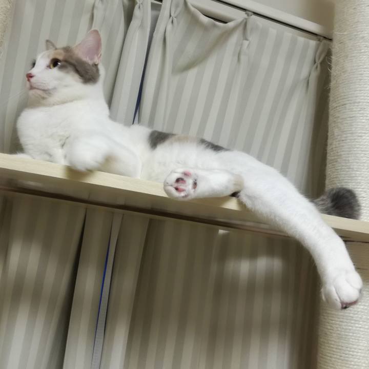 B8df22d0 4512 4681 bc5f b43bff595cee 1519861093595