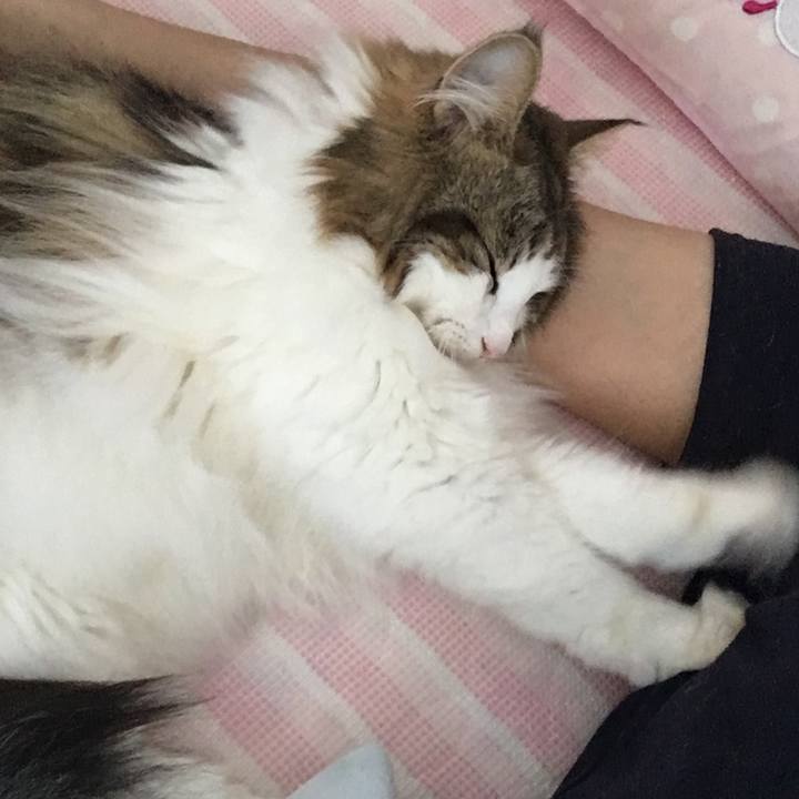 B8df423e 980b 4d3b 8adc 6ee3d3aab286 1530101937737