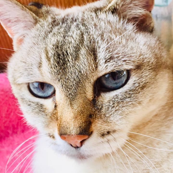 B8dfa0fb 64f0 4a40 9125 6eee8fca266e 1558769115658