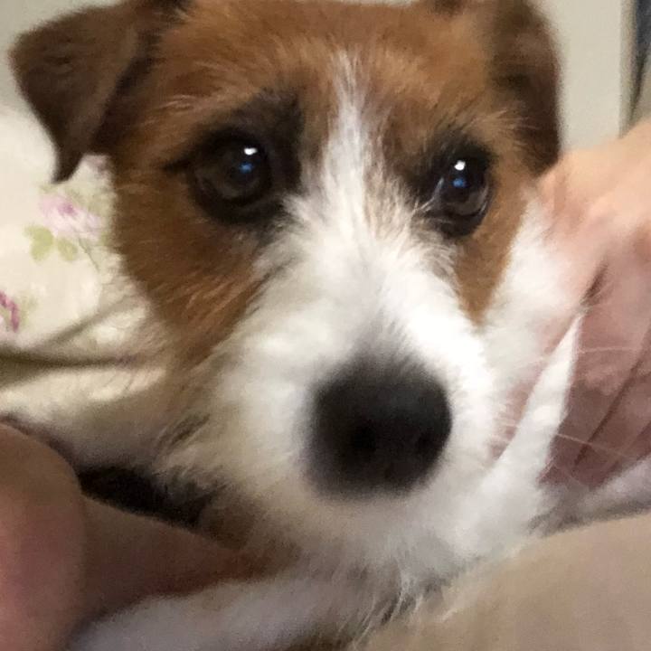 B8dfae7c 7b82 4d26 b5d0 74bc4a251247 1528624894292