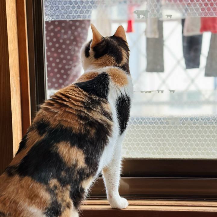 B8dfd844 c316 4b71 8881 83102c4182d6 1709868211509