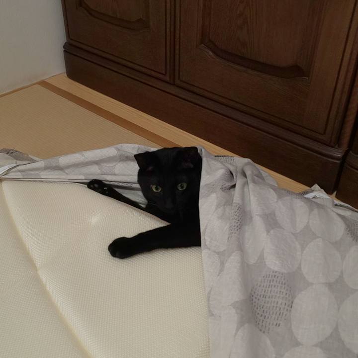 B8dffbf2 cca9 44bf ae3c c09f9fcb82b2 1597211821660