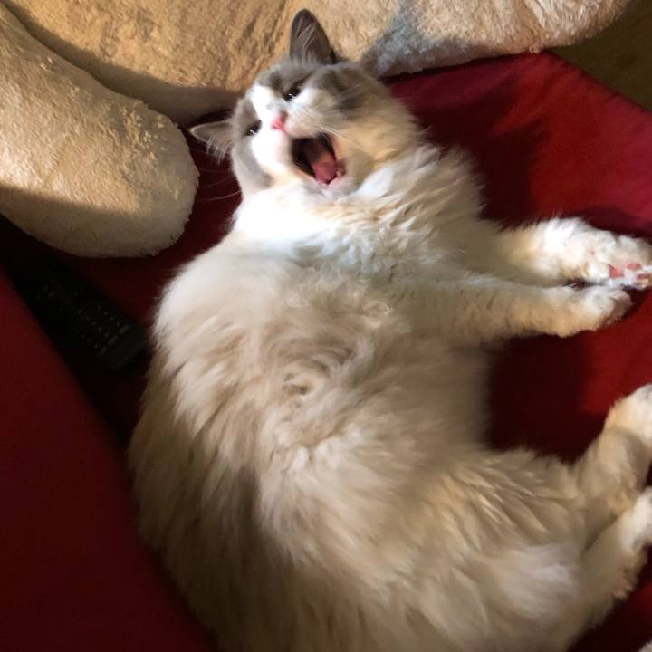 B8dffe16 43ae 4d8f 9472 495fe204ec5b 1621312800990