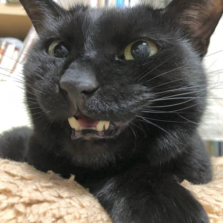 B8e02d21 1ead 4221 9960 bac580c5dd4d 1614425631653