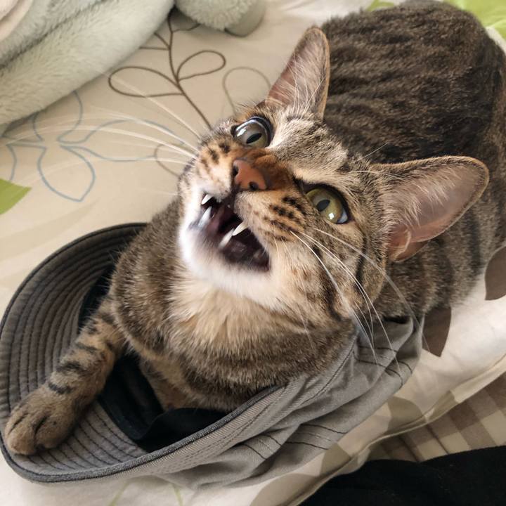 B8e0773e 955b 43df adb3 2b67d563e4fb 1526275070959