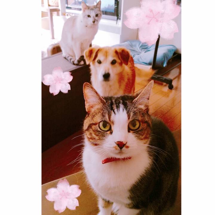 B8e0a2da dcaa 4307 ae6d 9c469992b71c 1522192808236