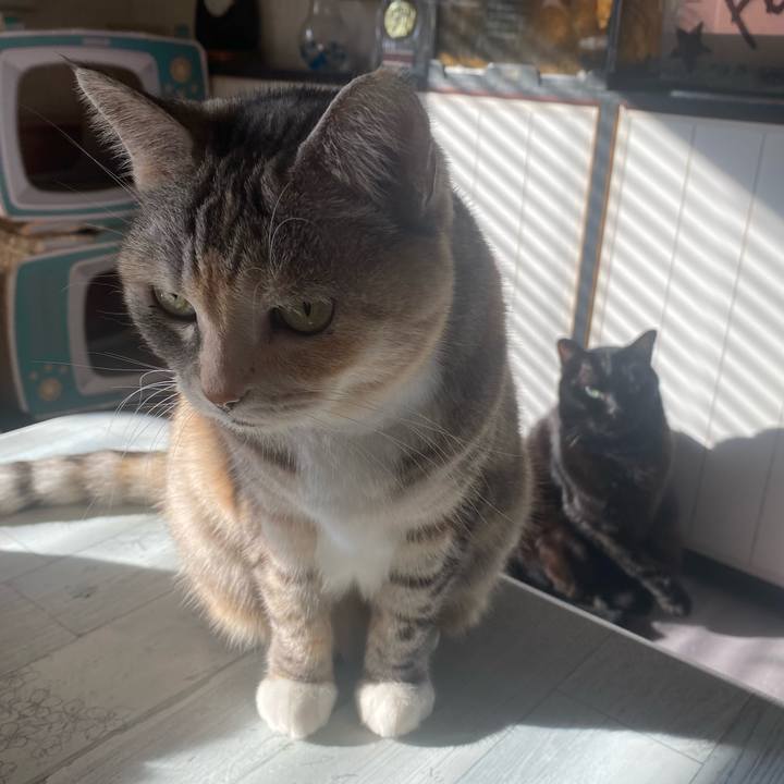 B8e0da2d ac2d 438c 8184 5fc6470f3845 1668815016185