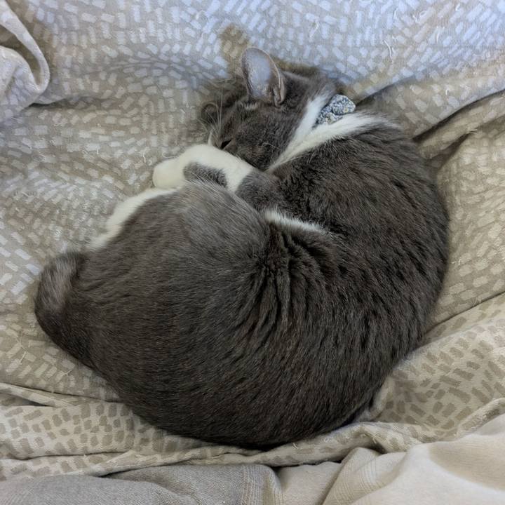 B8e0f4d4 82e0 4934 9d4b 8b1217a71b20 1764378749888