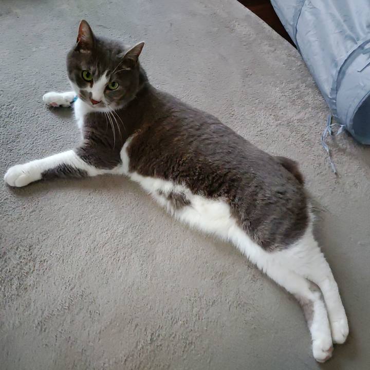 B8e0f67b c473 4a2a 98cd 4f805285fdaf 1720487486382