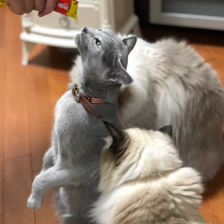 B8e123fc f4ec 499b 834b 18938b93a3df 1543240018542