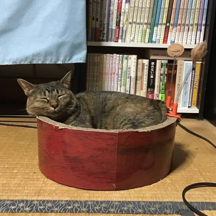 B8e1261c 7762 466d b08d 6a3ced57104f 1694430346048