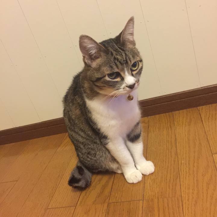 B8e12f94 88c8 49d9 b415 ee59061b04d0 1559397054605