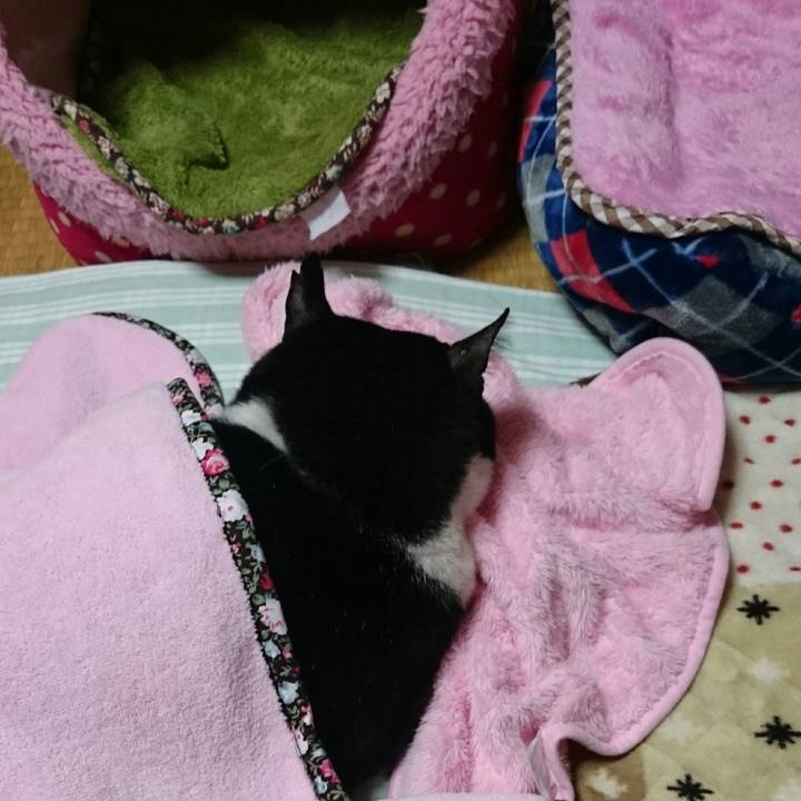 B8e1300c 5ae7 483f 808a b99b7eb8c9c9 1510321771513