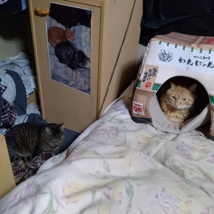 B8e160dd e826 4b13 8b56 2c5cf45ee760 1682168735704