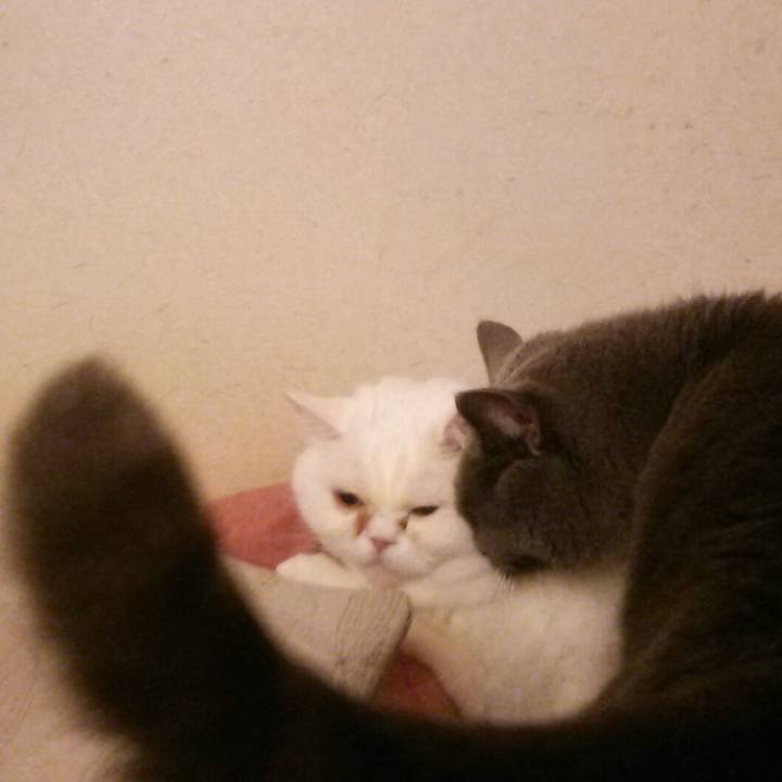 B8e1a763 95e6 4183 a48c f53d9443a170 1582325037835