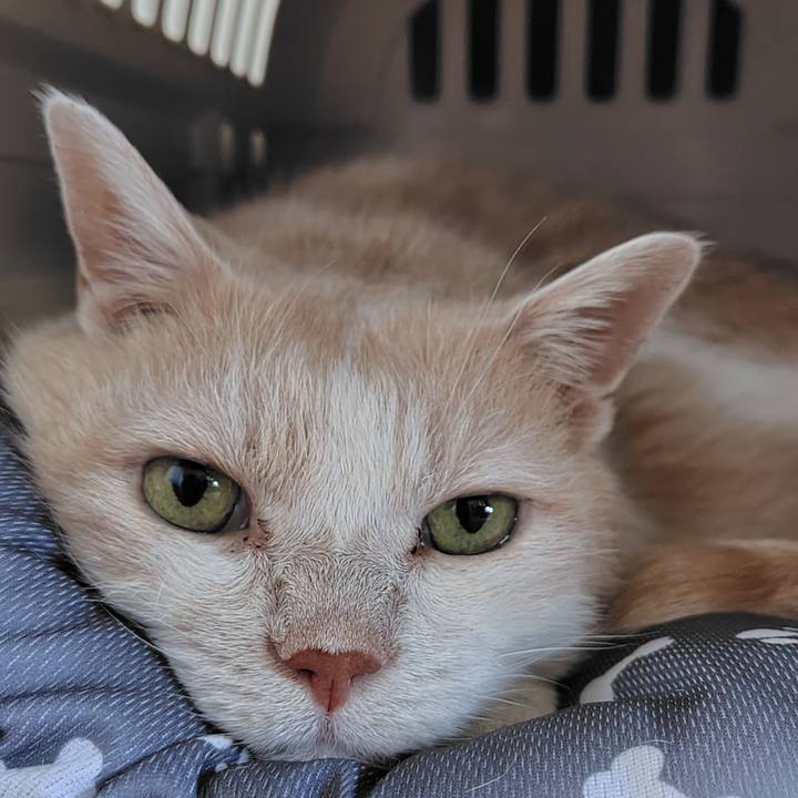 B8e1d112 1241 44e2 8c46 97bcd346e15b 1752878140945