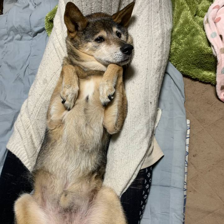 B8e1d3aa c0d9 4348 afef f65011d6842b 1579400532598