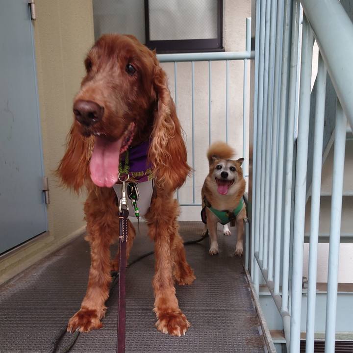 B8e1ec9a 0245 4d95 a199 8a96319b1f8c 1664094796708