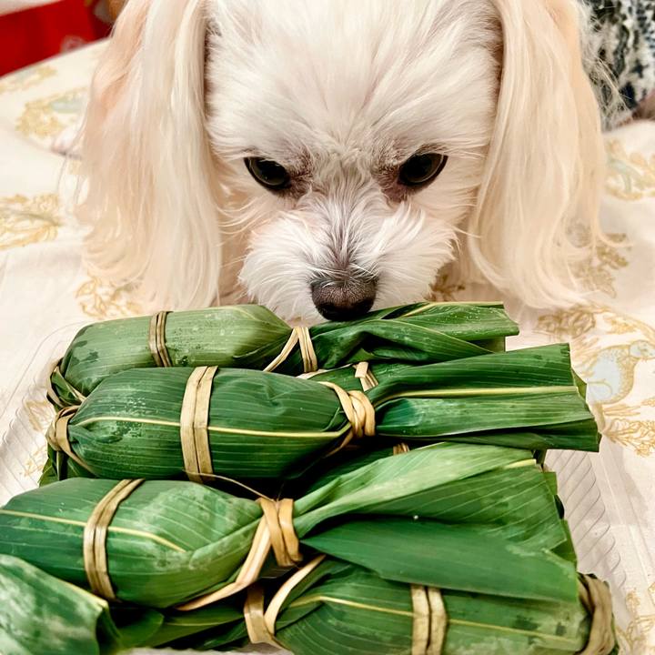 B8e20c9f 8103 453d 8640 b74c266ba491 1669181147418