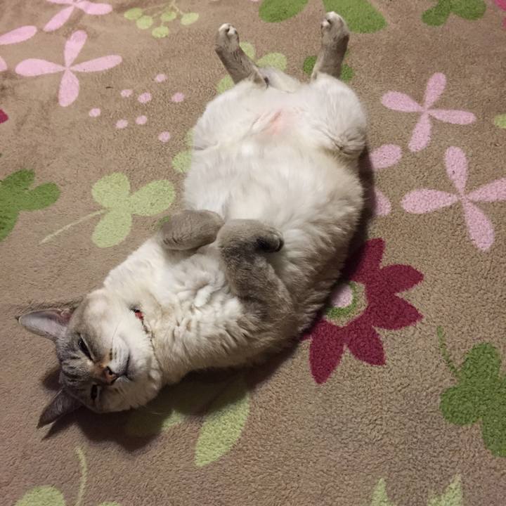 B8e21ada d9e5 4e34 bcdb 38743982419f 1548587776595