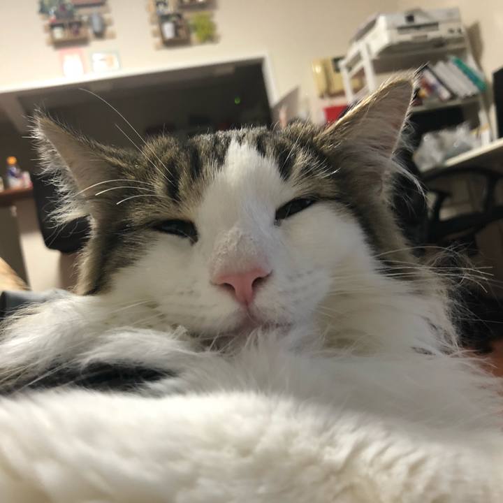 B8e27edc 80de 4303 bbe2 1713d4eada4f 1523490259908