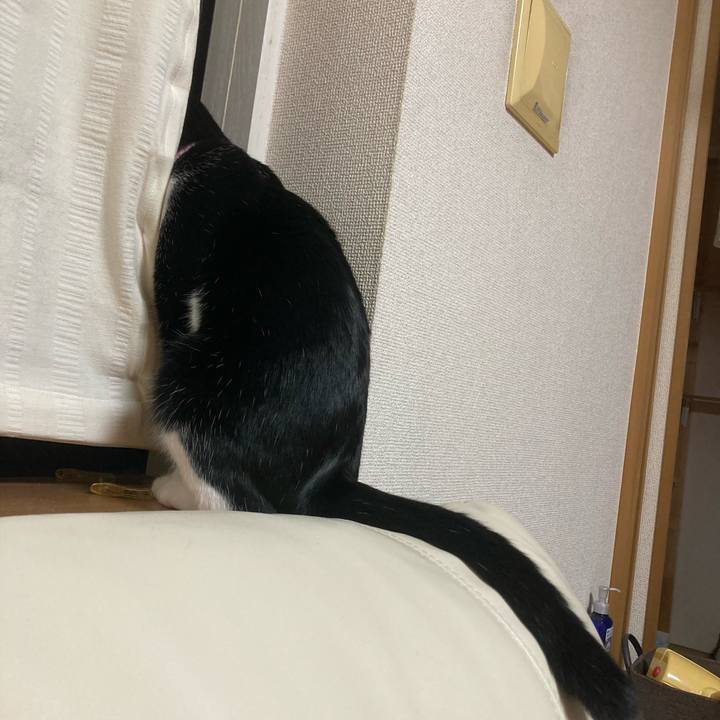 B8e29efb d96c 4167 854f e02a9d66605f 1692106958970