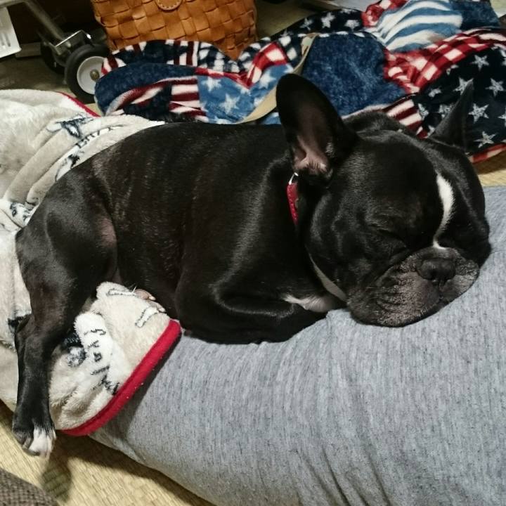 B8e2feed 25da 411b b779 63269e7eac16 1511612148153