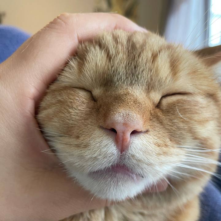 B8e33366 908b 40e7 a3d8 99cb6265c5dd 1770790993170