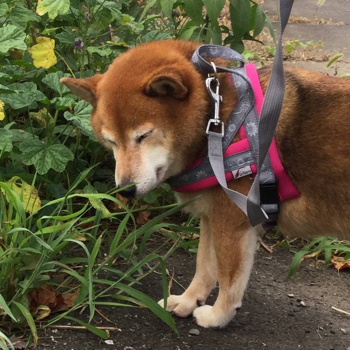 B8e35c17 19f8 4f30 a17b 55d3c7cafbaf 1596937444211