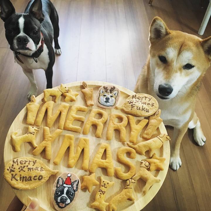 B8e36a0f ac2b 4d97 b4dd 192fa826f38e 1513594812984