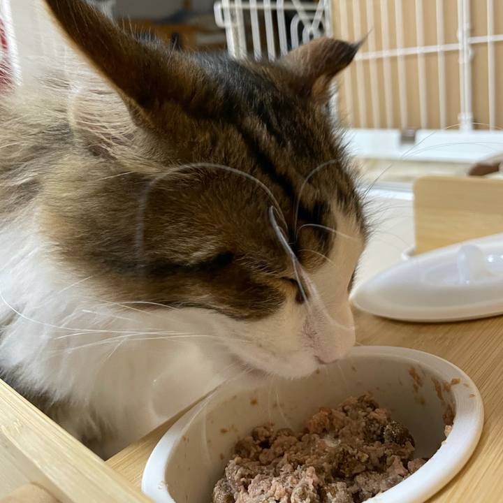 B8e36eb5 674b 4889 b928 ca2c0b4edb12 1636635889065