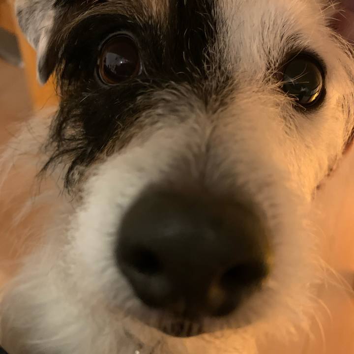 B8e39cef 753d 4d3a 858c f1e42c2f7d17 1614419154050