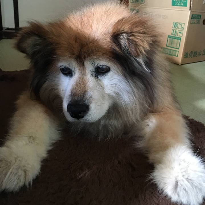 B8e3c7b2 6039 4e85 94be 4152759a958e 1581727909761