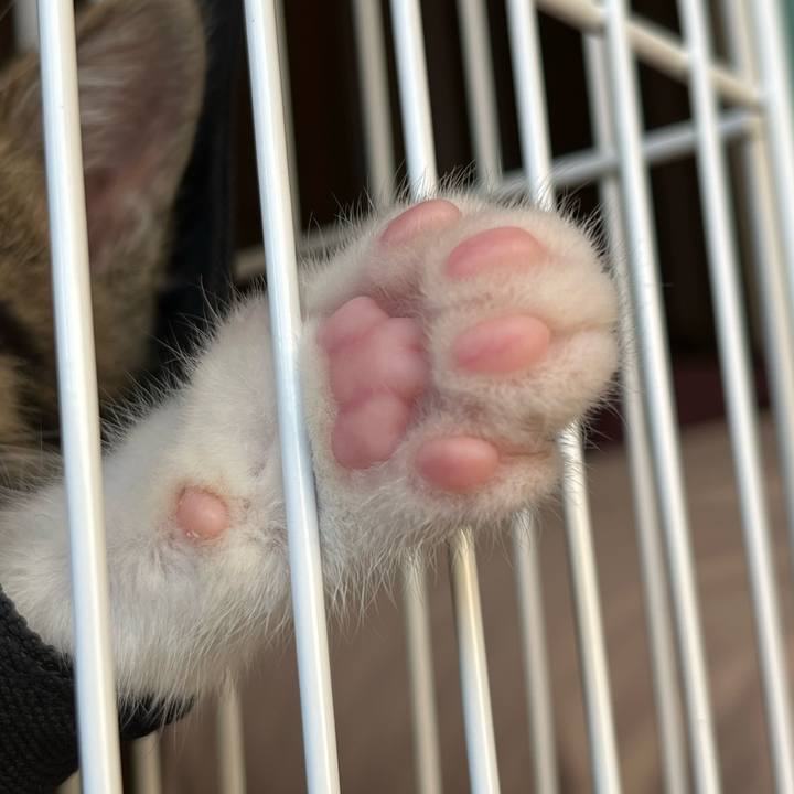 B8e40bd6 2396 472f 933f 06b672cde378 1764486139308