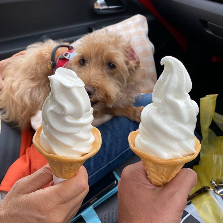 B8e445da d9ce 4bdb bf23 616563b7e457 1662357018402