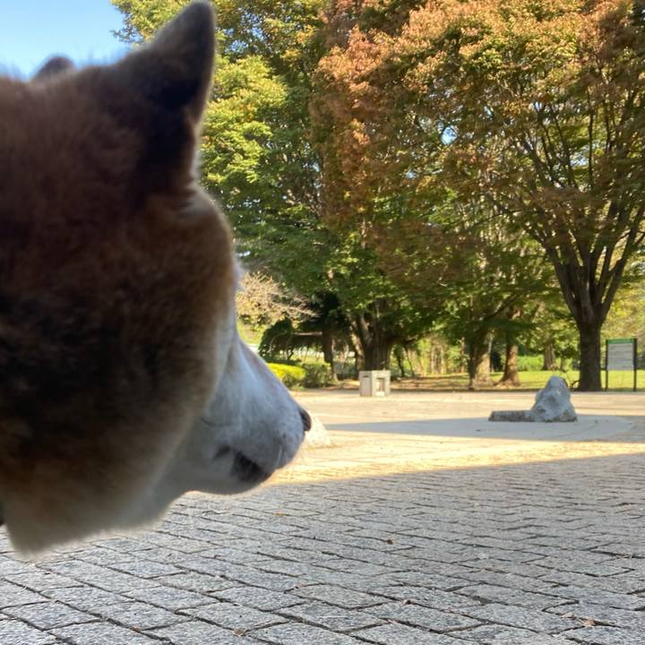 B8e44799 faa5 4af9 85df 960e40a4a010 1697611319698