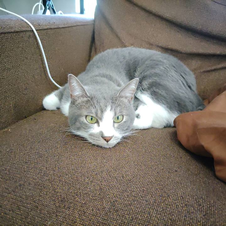 B8e459ea c1cd 415d 84e4 a9bb65910204 1669338759769